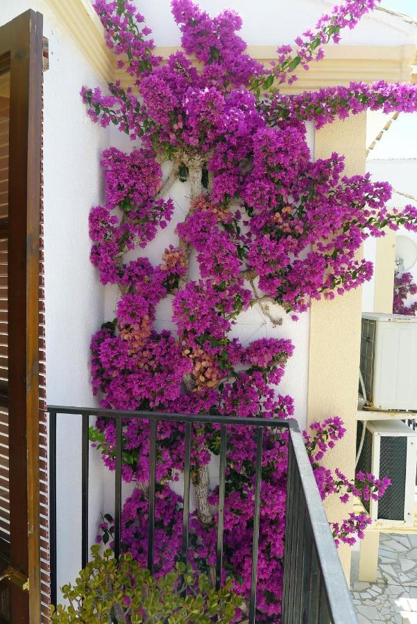 Sunny Coastal 1 Bed Apartment - Vera Coast: 2Mins To Beach Los Amarguillos Exteriér fotografie